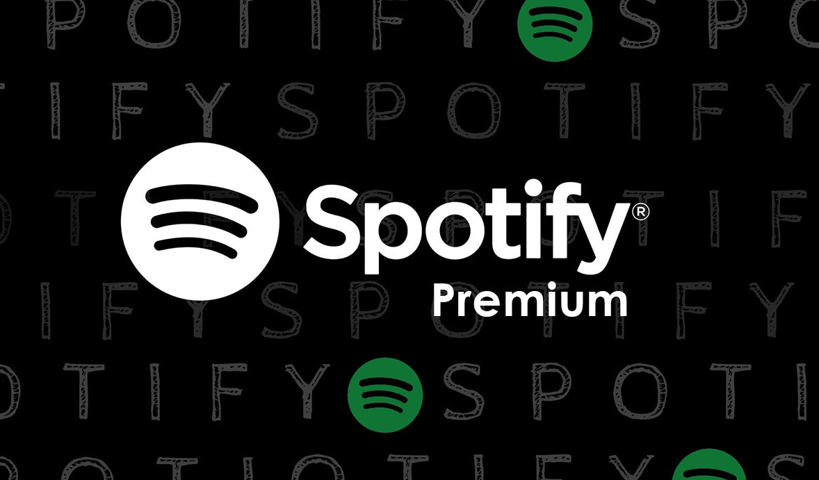 Spotify Individual Premium 12 Months Subscription product image
